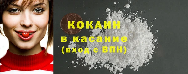 прущие грибы Корсаков