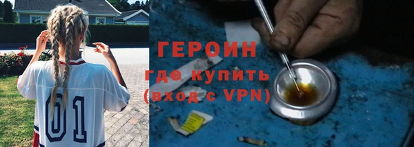 прущие грибы Корсаков