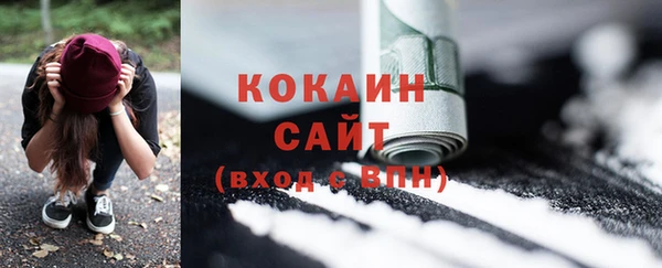 прущие грибы Корсаков