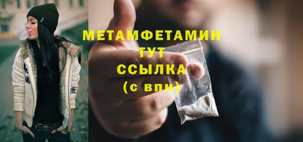 прущие грибы Корсаков
