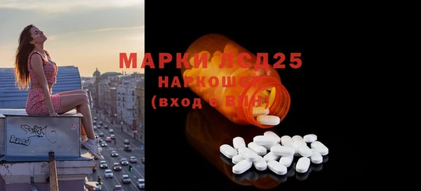 прущие грибы Корсаков