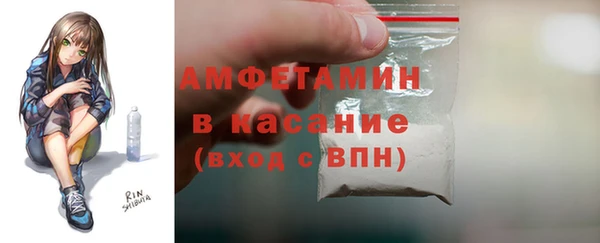 прущие грибы Корсаков