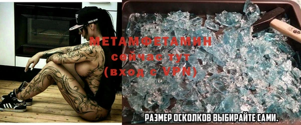 прущие грибы Корсаков