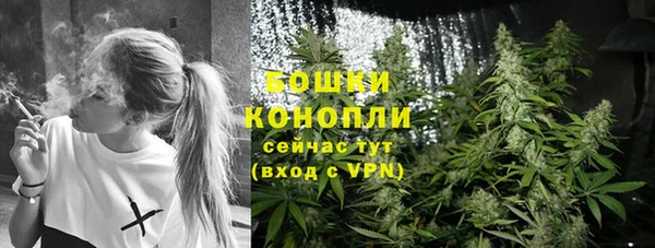 прущие грибы Корсаков