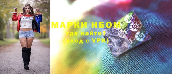 прущие грибы Корсаков