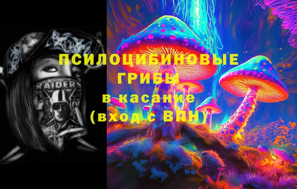 прущие грибы Корсаков