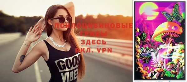 прущие грибы Корсаков