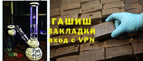 прущие грибы Корсаков