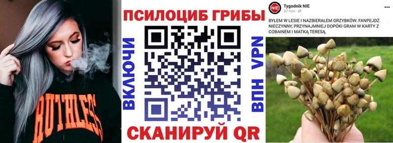 Купить закладки  Чапаевск  Галлюциногенные грибы ЛСД 